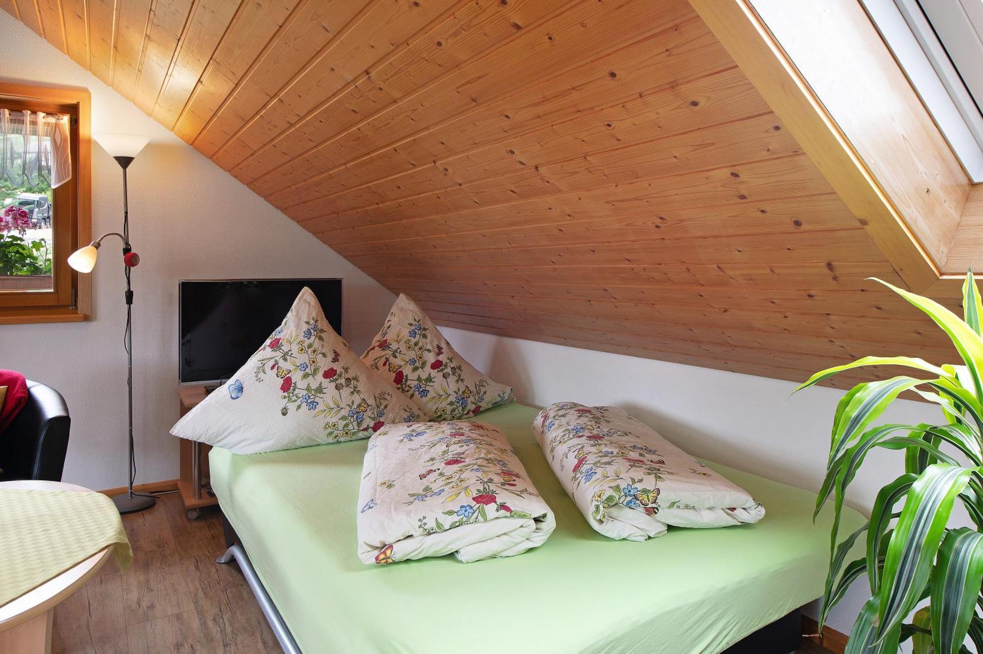 Ferienwohnung Blasi Mit Alpensicht Ibach Buitenkant foto